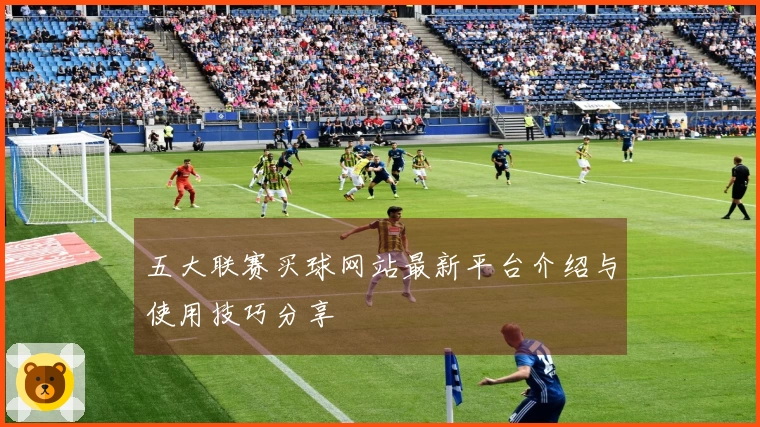 五大联赛买球网站最新平台介绍与使用技巧分享