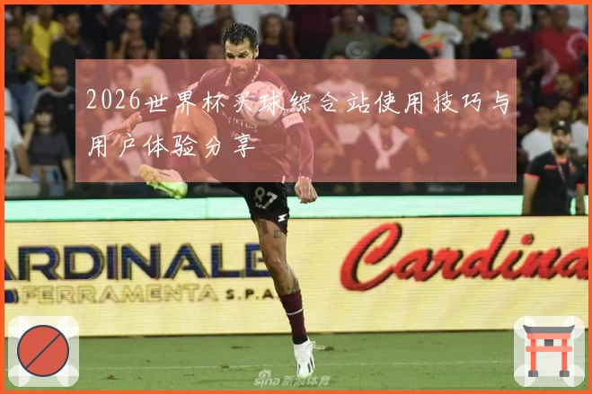 2026世界杯买球综合站使用技巧与用户体验分享